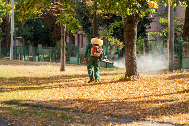 Bird Control in Wentzville, MO