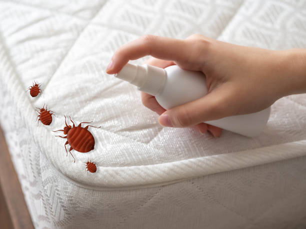 Best Pest Inspection Near Me  in Wentzville, MO