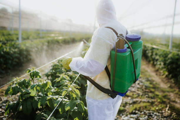 Best Best Pest Control Companies  in Wentzville, MO